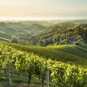 Die Steiermark entdecken